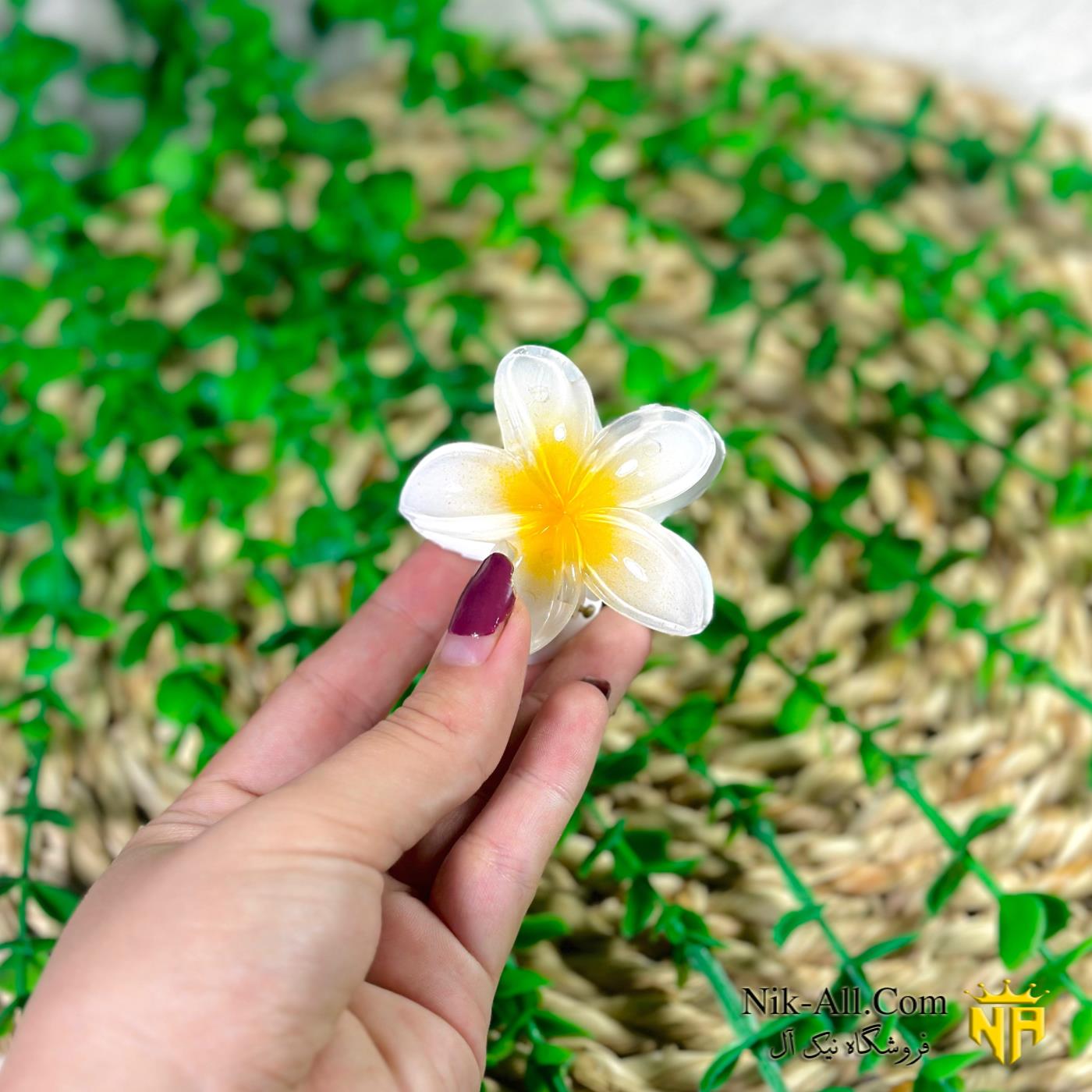 کلیپس گل کوچک 